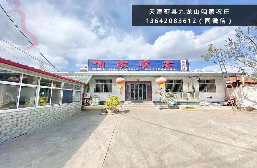咱家农庄农家院·天津蓟州·九龙山国家森林公园（天津市蓟州区）实拍图