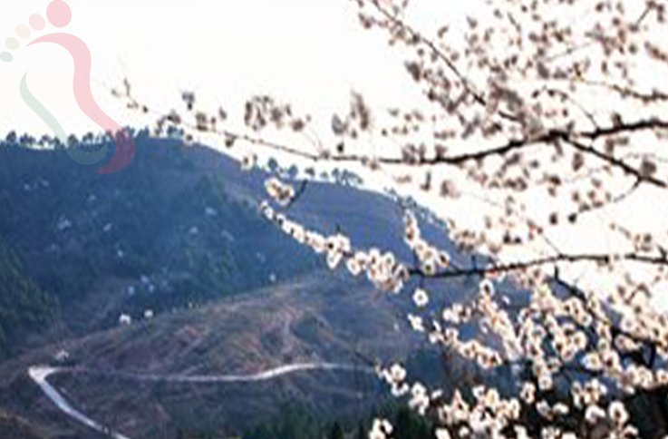 天津蓟州区伟睿农家院·天津蓟州·梨木台(天津市蓟州区)公共区域实拍第 13 张
