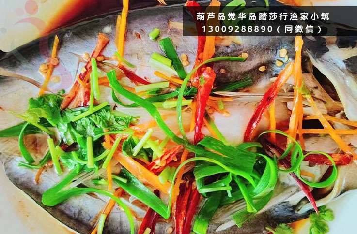踏莎行渔家·辽宁兴城·觉华岛(辽宁省葫芦岛市兴城市)实拍图