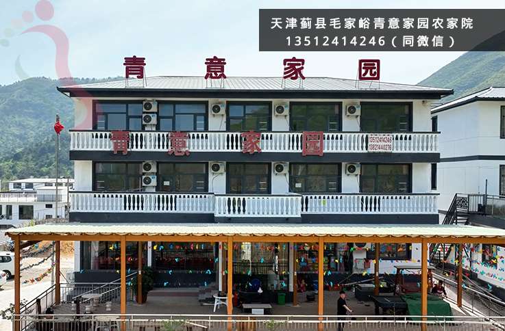 青意家园农家院·潮玩谷民宿·盘山·梨木台·郭家沟·天津蓟州（天津市蓟州区）实拍图