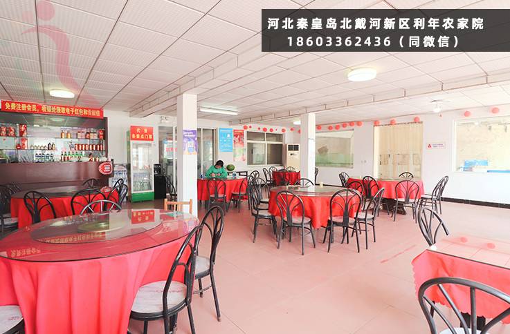 利年农家院·河北抚宁·北戴河（河北省秦皇岛市抚宁区）实拍图