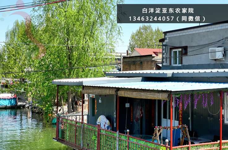 亚东农家院·白洋淀·河北安新·毗邻荷花大观园（河北省保定市安新县）实拍图
