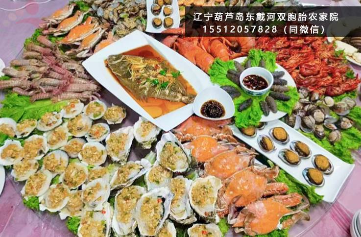 双胞胎农家院·绥中县东戴河·止锚湾·辽宁绥中（辽宁省葫芦岛市绥中县）实拍图